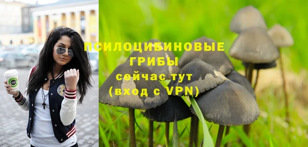 apvp Верея