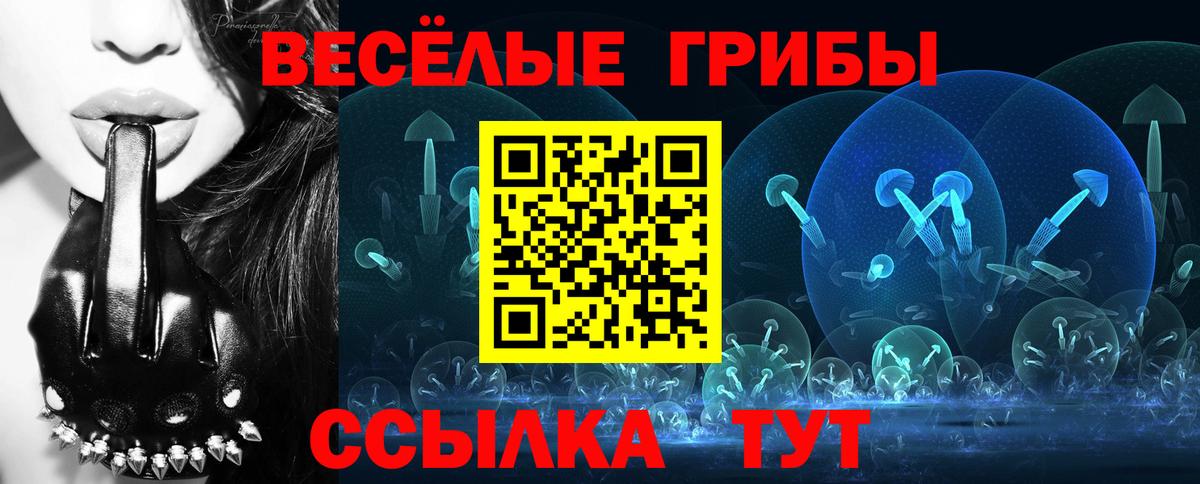 Сорочинск  Псилоцибиновые грибы GOLDEN TEACHER  магазин    Вход с VPN 