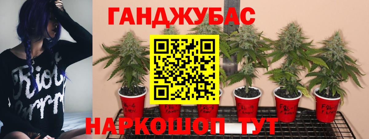 Канабис планчик  Бошки Шишки конопля  Вход с VPN  Сорочинск 